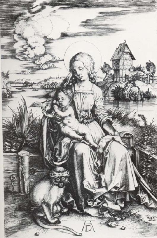 Albrecht Durer The Madonna with the Monkey